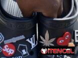 CROCS ORIGINALES (CON PINES)