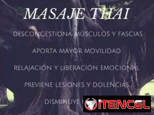 6263f0d7ea34af1e4e33b6a403a1b90c7ce38a48d0e511fdf6cdd8c1e703e4c3