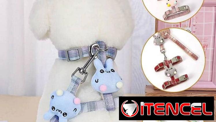 Pechera y correa talla S para mascotas