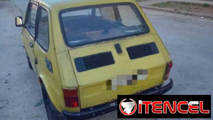 Polaco en venta