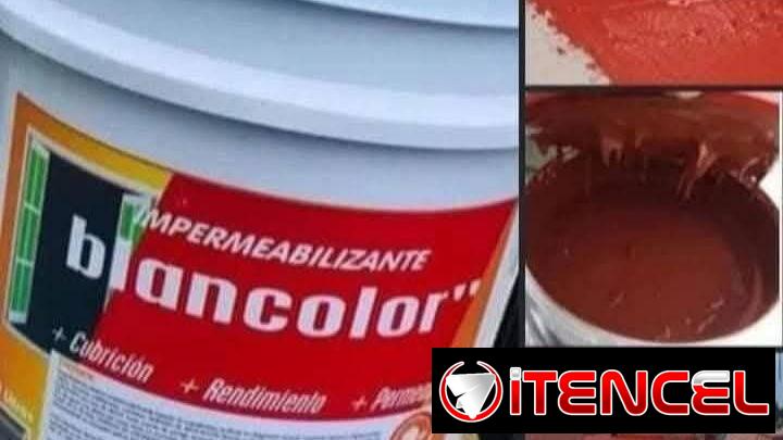 Pintura calidad 54703213