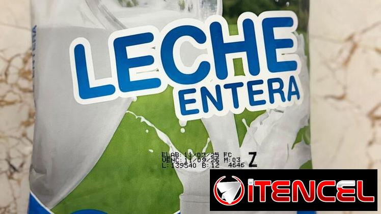 Leche en polvo
