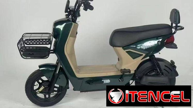 PATINETA ELÉCTRICA DCMLZ B1