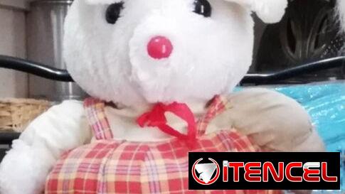 Peluches