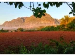 Habitación económica en Viñales para 4 personas – Precio desde 15 USD – Paneles solares incluidos