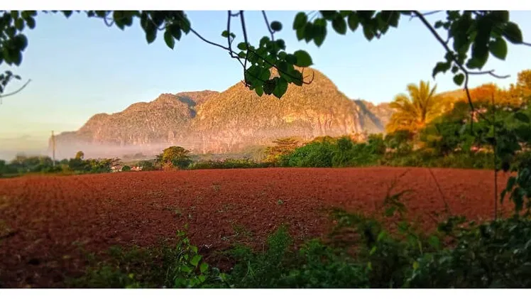 Habitación económica en Viñales para 4 personas – Precio desde 15 USD – Paneles solares incluidos