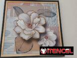 Cuadros decorativos