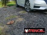 Nissan versa 2022