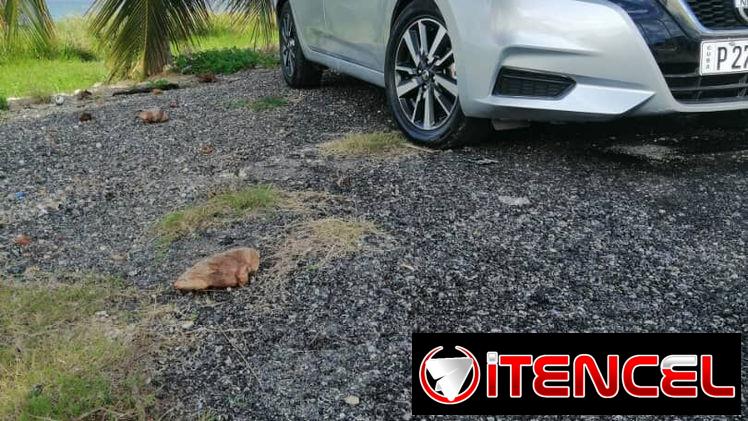 Nissan versa 2022