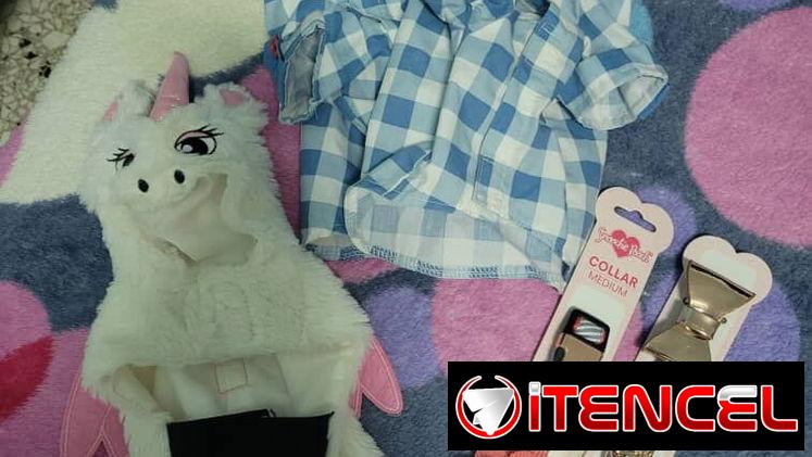 Ropa y collar de mascotas