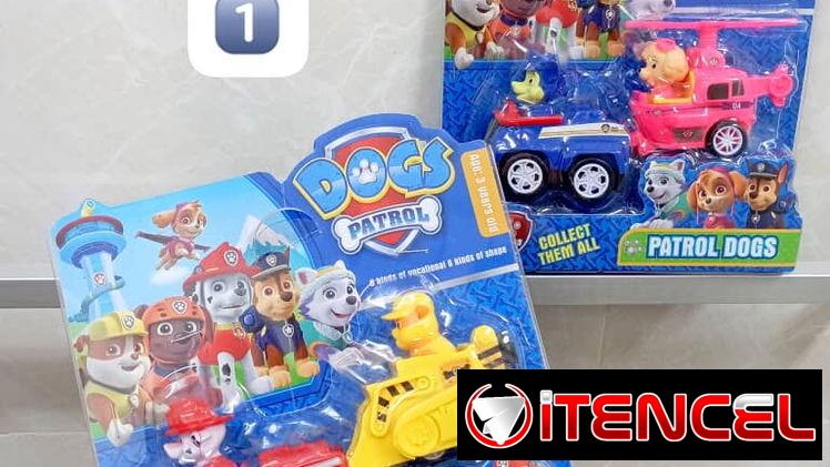 Carros paw patrol