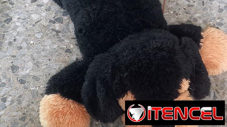 Peluche