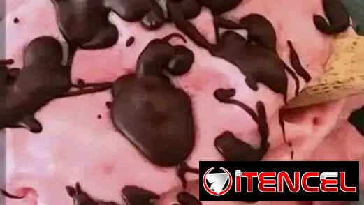 HELADOS COPPELIA Y OTROS
