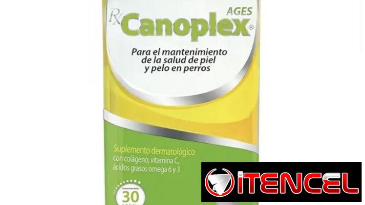 Vitamina para la salud de la piel y el pelo de la mascota a