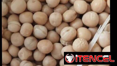 Vendo piensos para puercos y gallinas ponedoras 56 70 29 86
