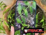 Samsung s25 plus internacional 12/512