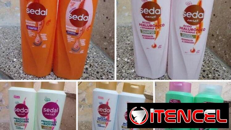 Champú y acondicionador una