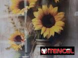 Cuadro pintura en aerosol 5900cup Medidas 50*60cm