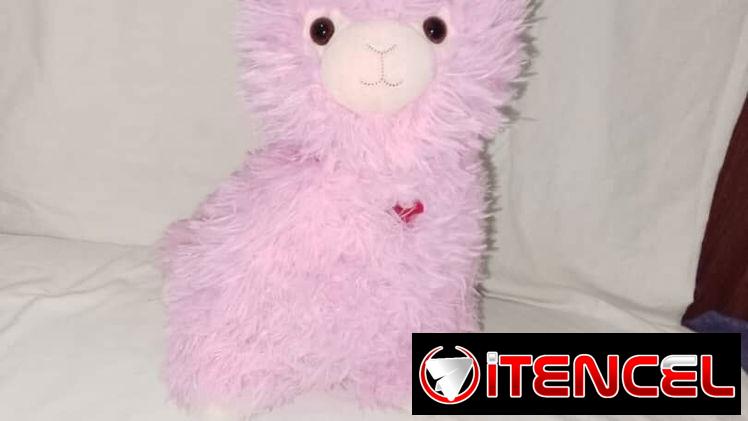 Llama 🦙 de peluche