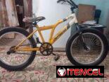 Bicicleta de uso