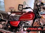 Moto de combustión marca Motors Treck