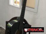 Guitarra Waldman electroacústica