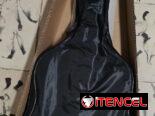 Guitarra