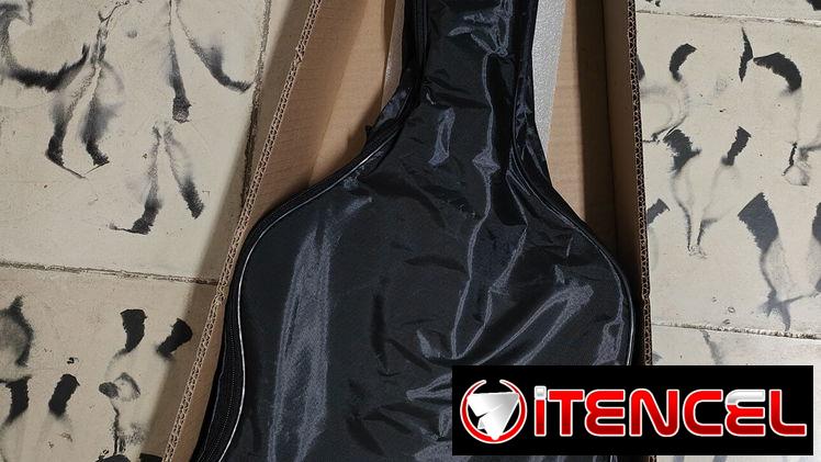 Guitarra