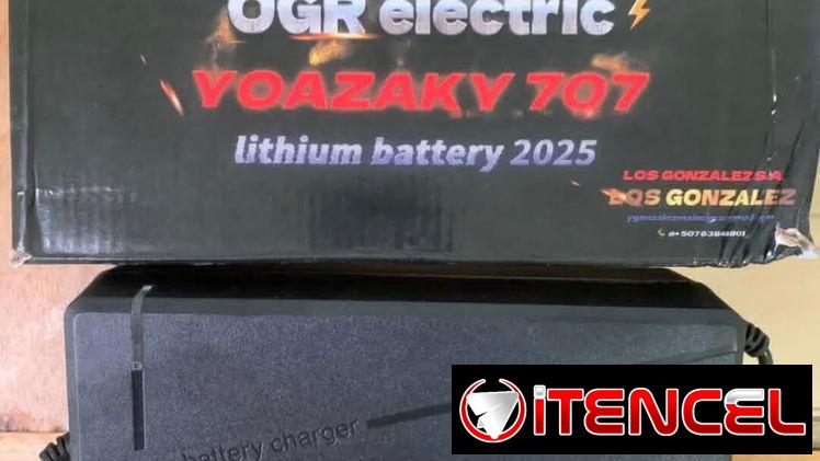 CARGADOR DE BICIMOTO NUEVO 48v 50ah