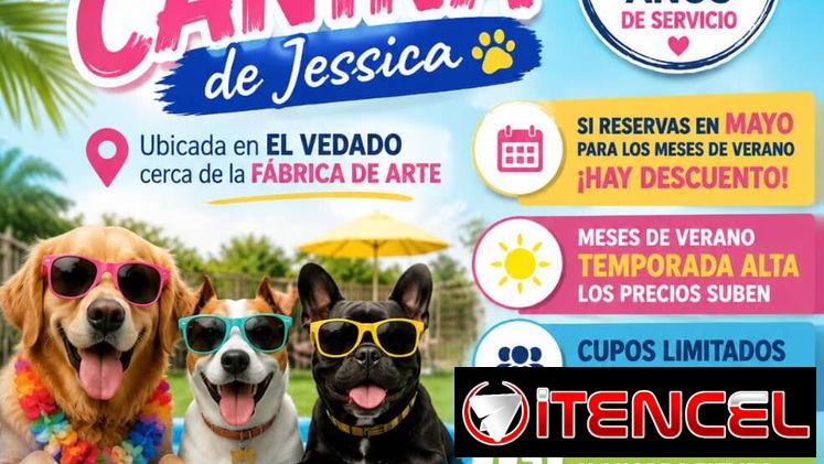 GUARDERÍA CANINA, HOSTAL DE PERRITOS, CUIDO DE PERRITOS EN EL VEDADO