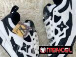 Tenis