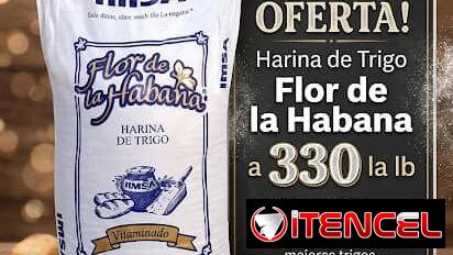 Harina de trigo por libra
