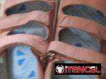 Vendo zapatos de niña