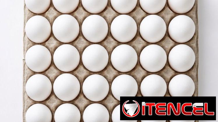 Huevos Blancos Frescos