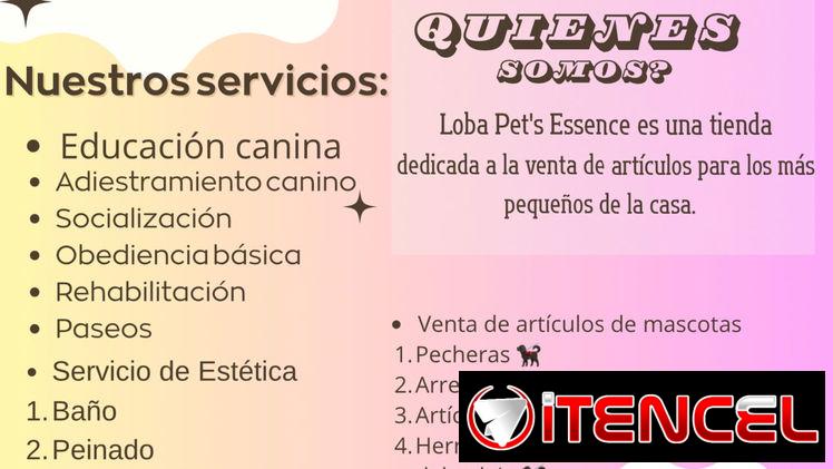Adiestramiento canino !!!