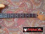 Guitarra Eléctrica Fender Mexican Standard Strat HSS, Relic Finish 2000-2001