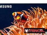 Samsung de 85” Crystal 4K UHD ( 85”DU8000C )