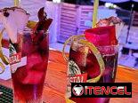 Bartender Profesional