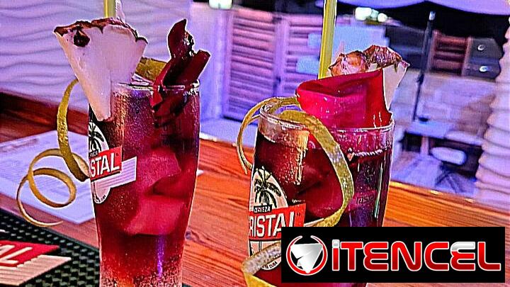 Bartender Profesional