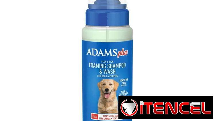 Shampoo para perros y gatos
