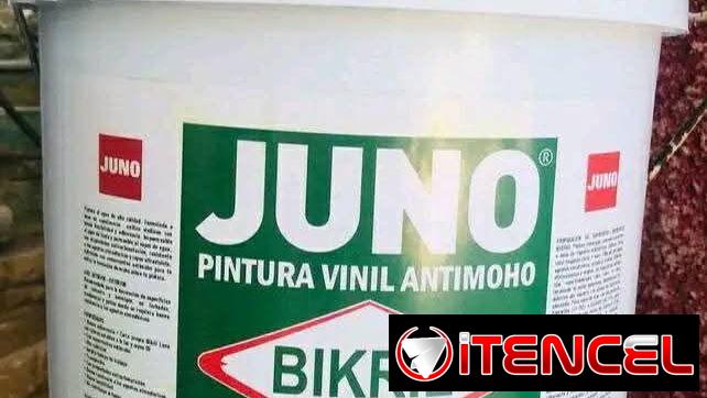 PINTURA VINIL ANTIMOHO PARA PAREDES EXTERIORES Y INTERIORES