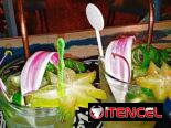 Bartender Profesional