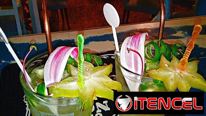 Bartender Profesional