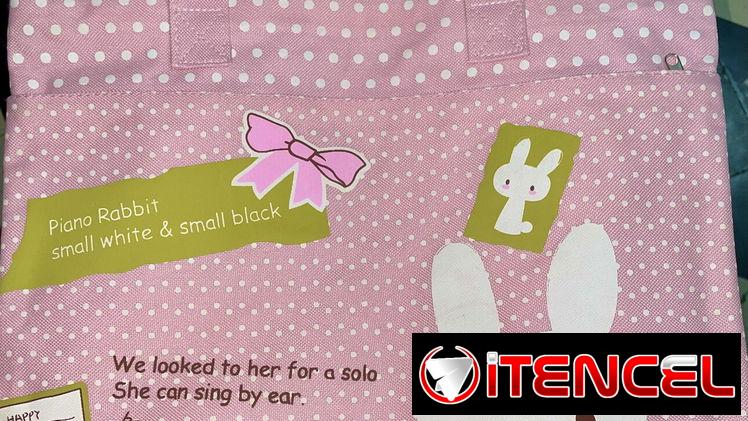 Bolsos de lona con zíper tienen dos compartimentos