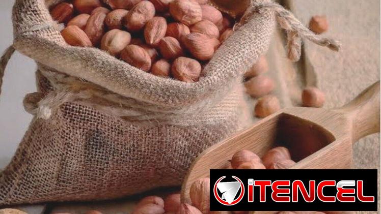 Mani en grano por libra