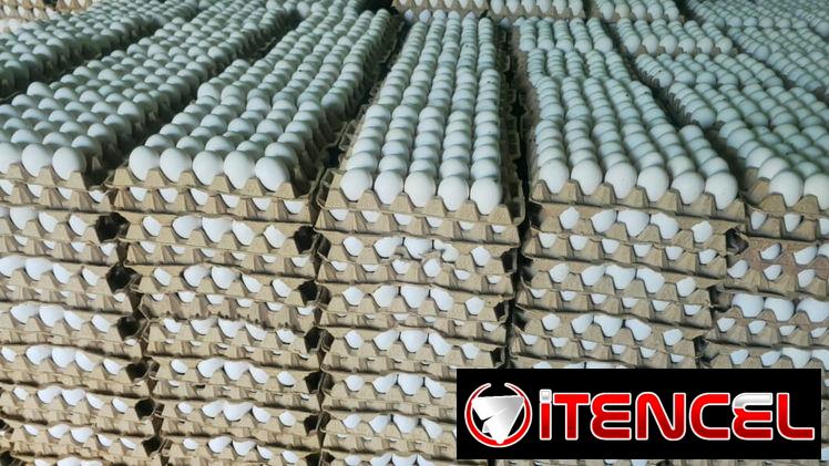 🚚 MIPYME RODSAIZ SRL📦  ✅️ Huevos 🍳🐣 de producción NACIONAL 🏷