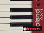 Roland AX-1 Red Keyboard Keytar MIDI Controller Musical Instrument 45-Key Used