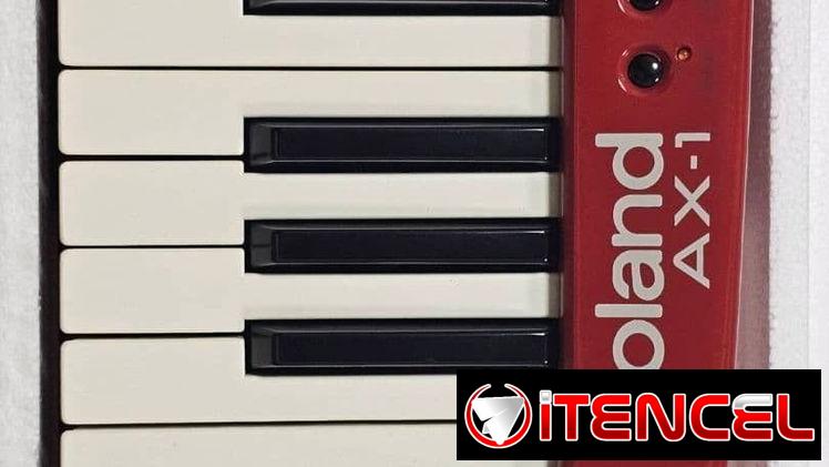 Roland AX-1 Red Keyboard Keytar MIDI Controller Musical Instrument 45-Key Used