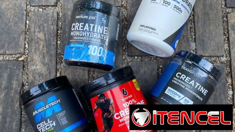 Creatinas, Proteinas
