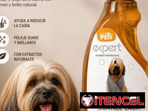 6f8060a78b8602fdbb8c0f562a102bc8e8994c1e09130996e1b381ae33b4850d